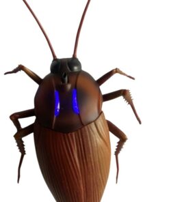 gandacul cockroach