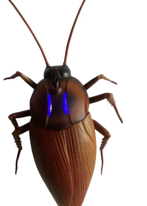 gandacul cockroach