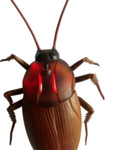 gandacul cockroach