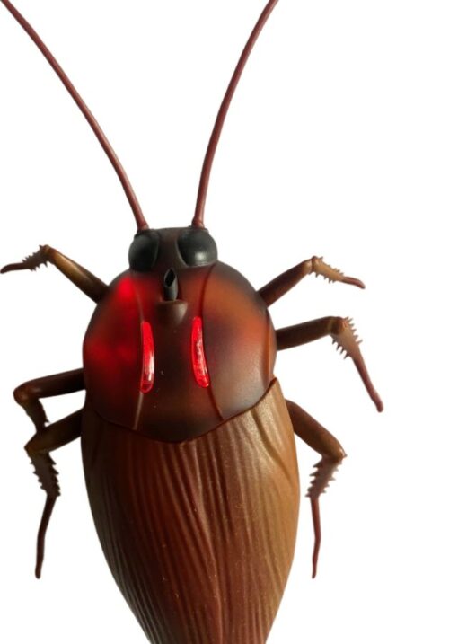 gandacul cockroach