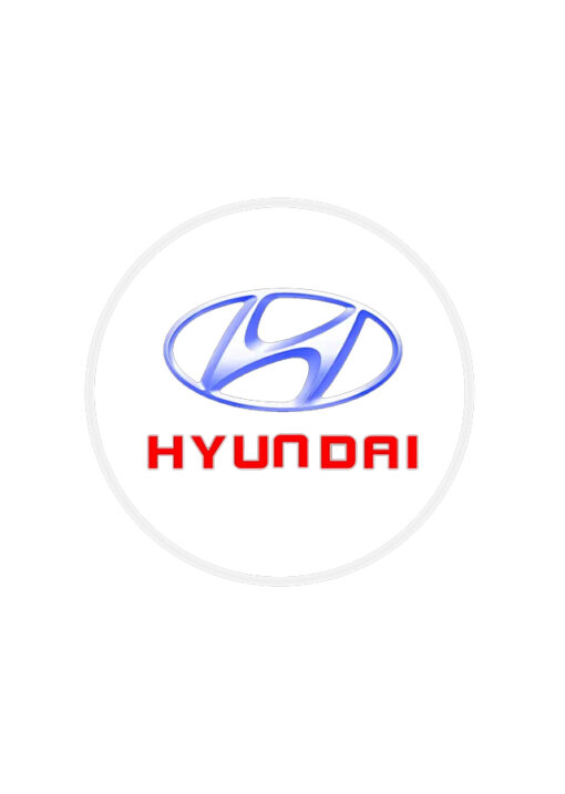 Holograme Logo Hyundai Portiere Auto Masini