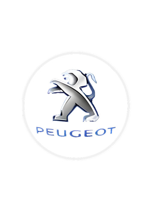 Holograme cu Logo Peugeot pentru masina